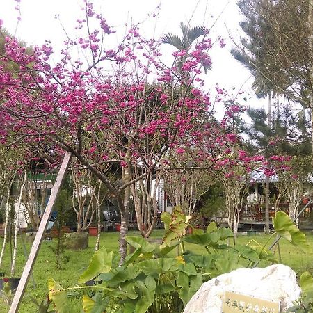 Bed and Breakfast Sun Moon Lake Wild Flower à Yuchi Extérieur photo