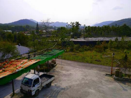 Bed and Breakfast Sun Moon Lake Wild Flower à Yuchi Extérieur photo
